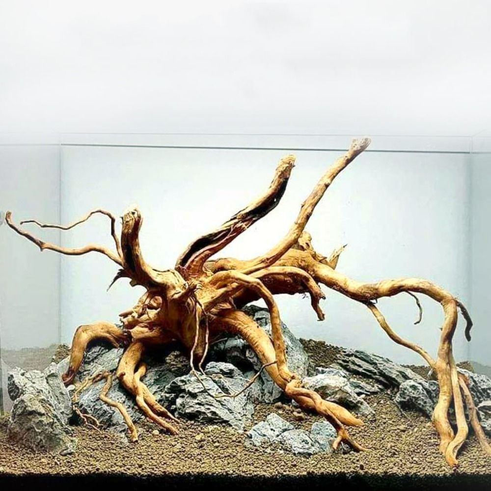 Aquarium Plant Design - Natural Tree Trunk Aquarium Decoration Wood
