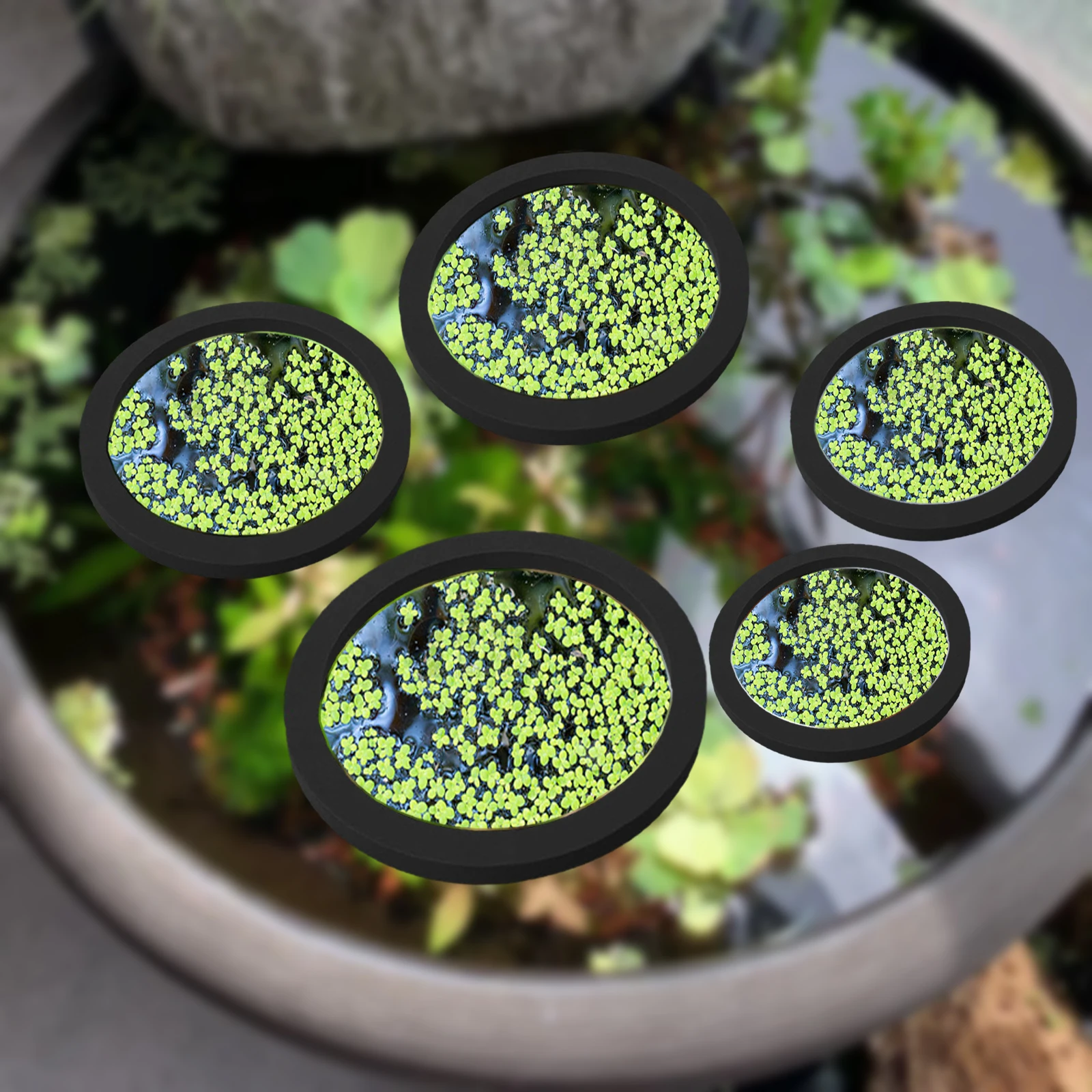 Planted Aquarium With Fish - 5Pcs EVA Fish Feeding Ring Aquarium
