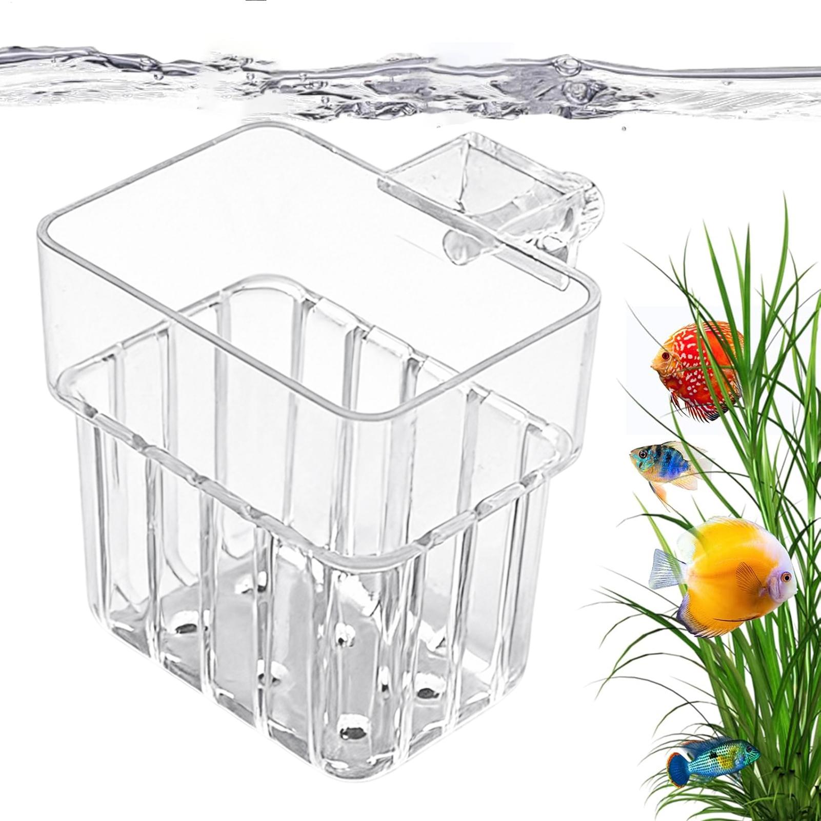 Transparent Hangable Aquarium  - Aquarium Plant Design ulasan dan harga