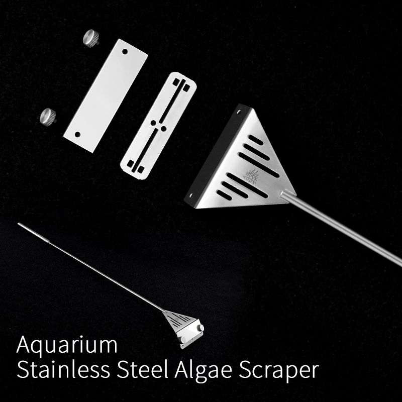 Week Aqua Stainless Steel Fish - Planted Aquarium Kit ulasan dan harga