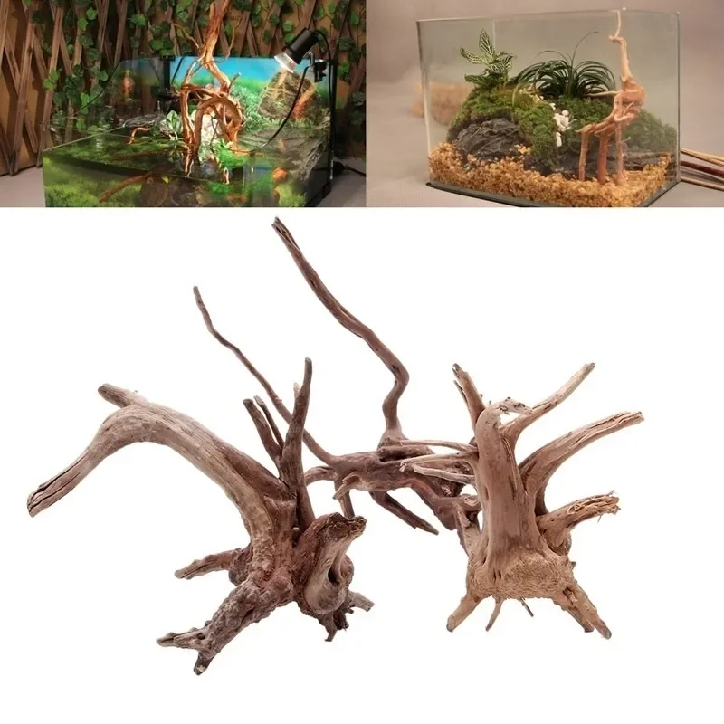 Natural Tree Trunk Driftwood A - Aquarium Plant Design ulasan dan harga