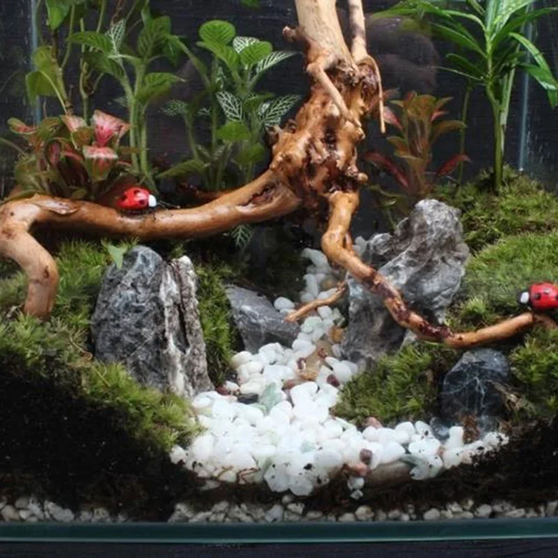 Natural Tree Trunk Driftwood A - Aquarium Plant Design ulasan dan harga