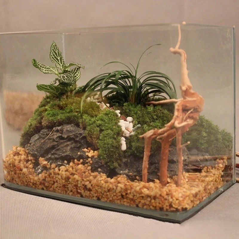 Natural Tree Trunk Driftwood A - Aquarium Plant Design ulasan dan harga
