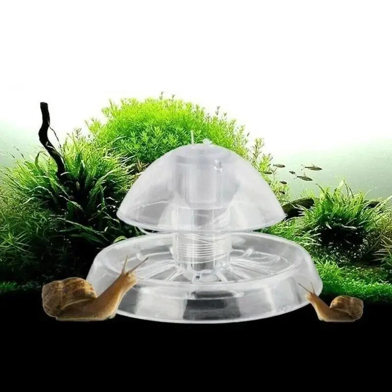 2026 New 6/8CM Clear Plastic S - Planted Aquarium With Fish ulasan dan harga