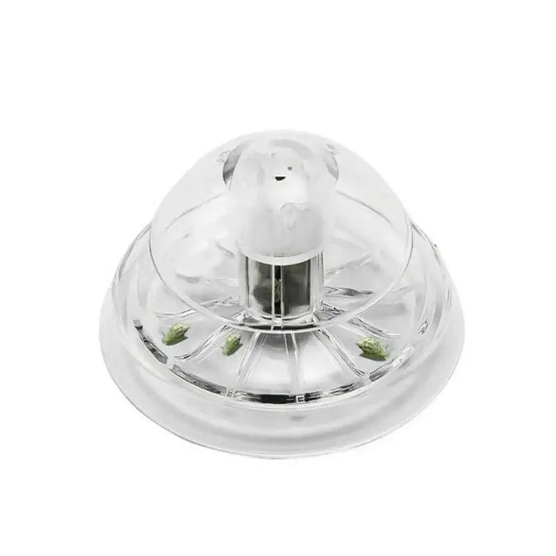 2026 New 6/8CM Clear Plastic S - Planted Aquarium With Fish ulasan dan harga