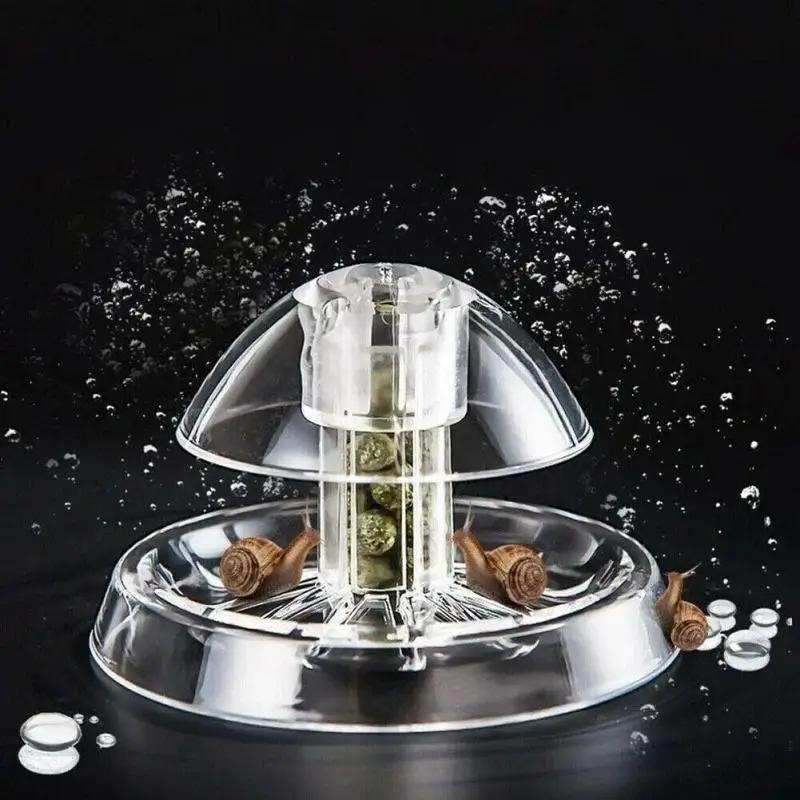2026 New 6/8CM Clear Plastic S - Planted Aquarium With Fish ulasan dan harga