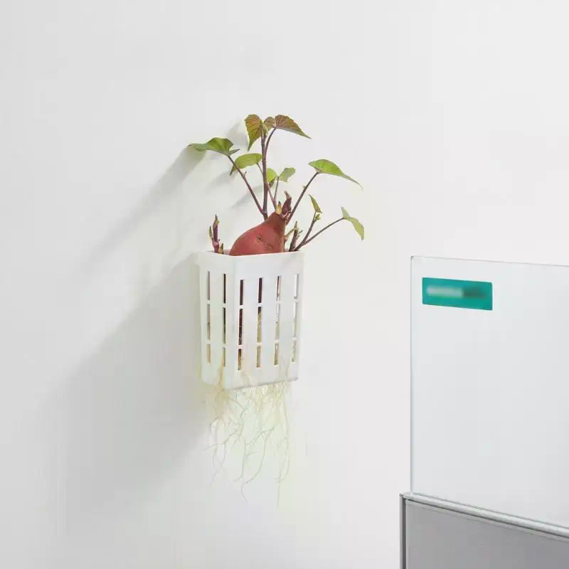 1Pcs Hydroponic Support Basket - Planted Aquarium With Fish ulasan dan harga