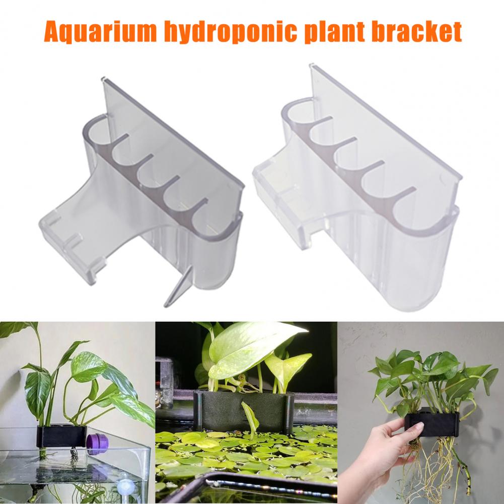 4.5/6.5cm Aquarium Plant Holde - Planted Aquarium With Fish ulasan dan harga