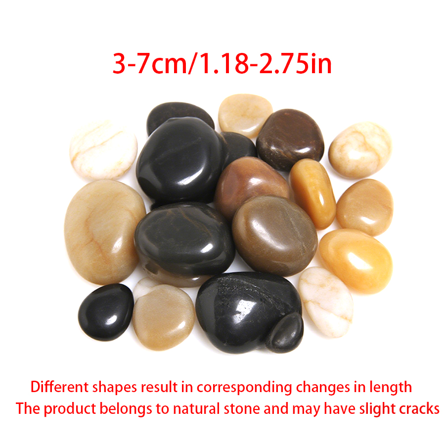 300-700g Smooth River Pebbles, - Planted Aquarium With Fish ulasan dan harga