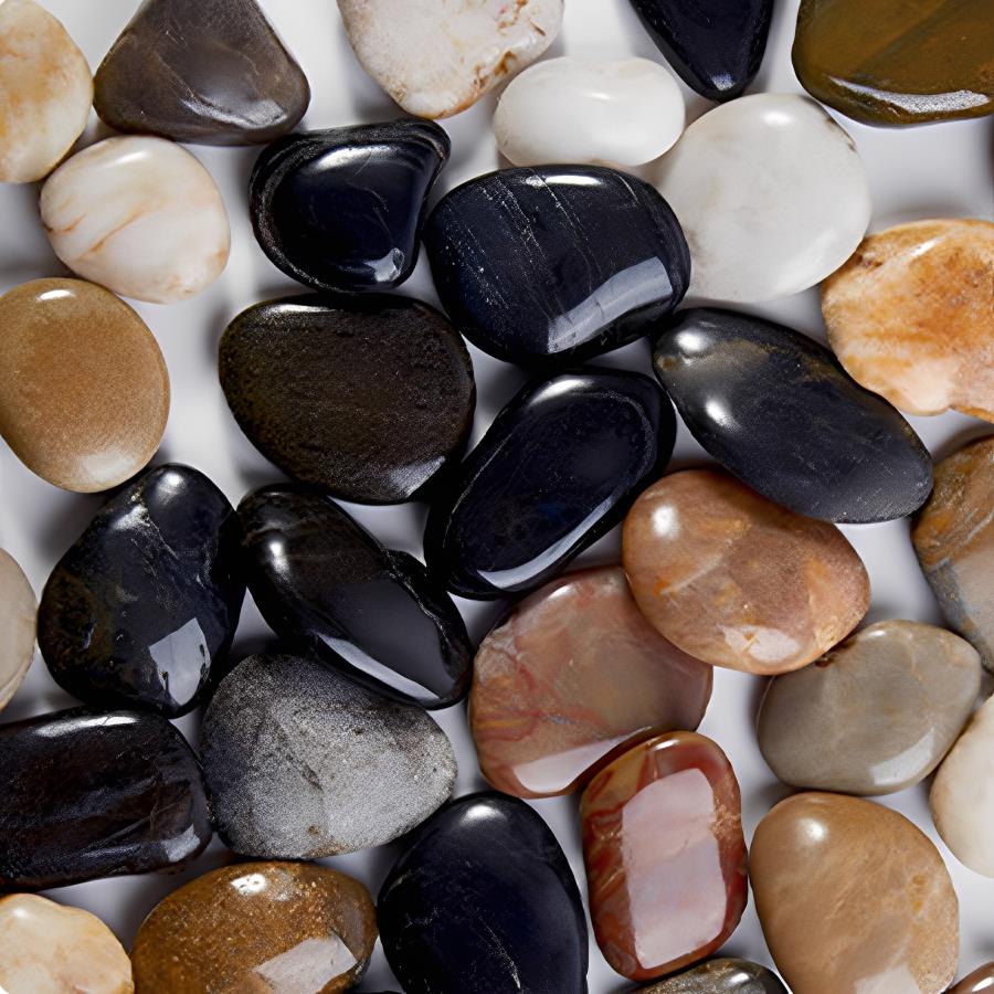 300-700g Smooth River Pebbles, - Planted Aquarium With Fish ulasan dan harga
