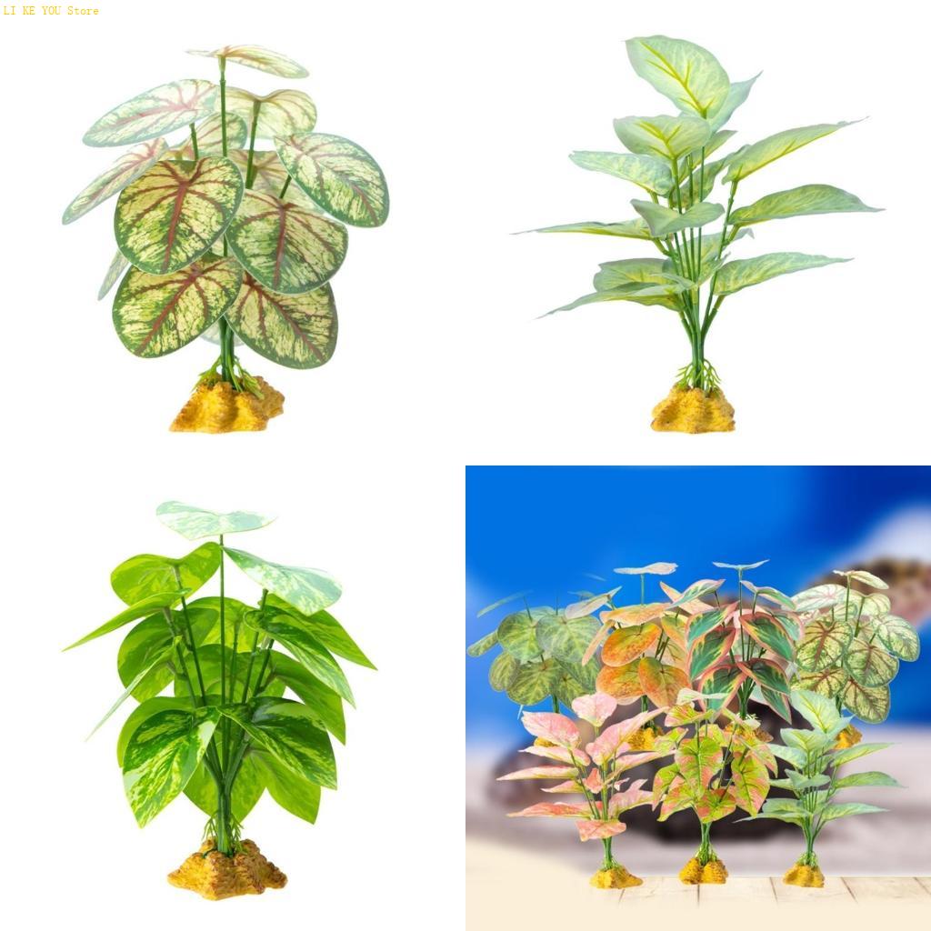 W3JE Terrarium Decorative Plan - Planted Aquarium Jungle ulasan dan harga