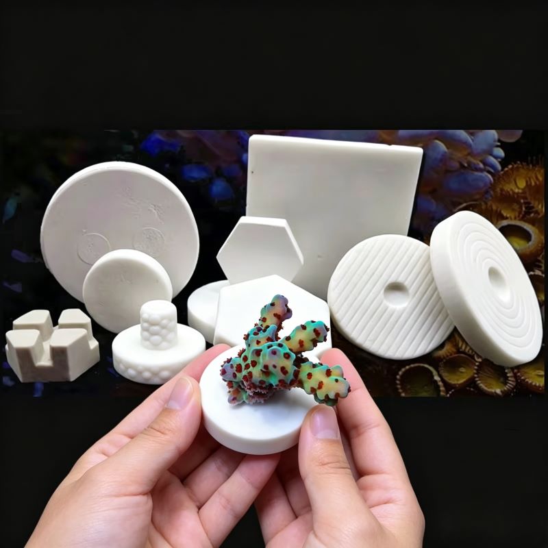 SPS Ceramic Coral Frag Plugs B - Aquarium Plant Design ulasan dan harga