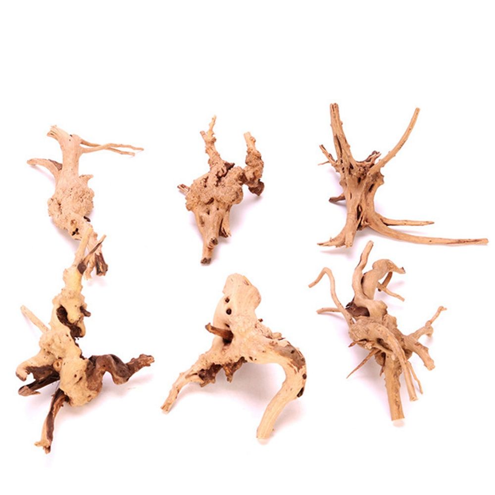 1 Pcs Wood Reptile Fish Tank O - Aquarium Plant Roots ulasan dan harga