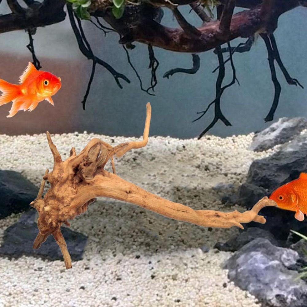 Natural Tree Trunk Aquarium De - Aquarium Plant Design ulasan dan harga