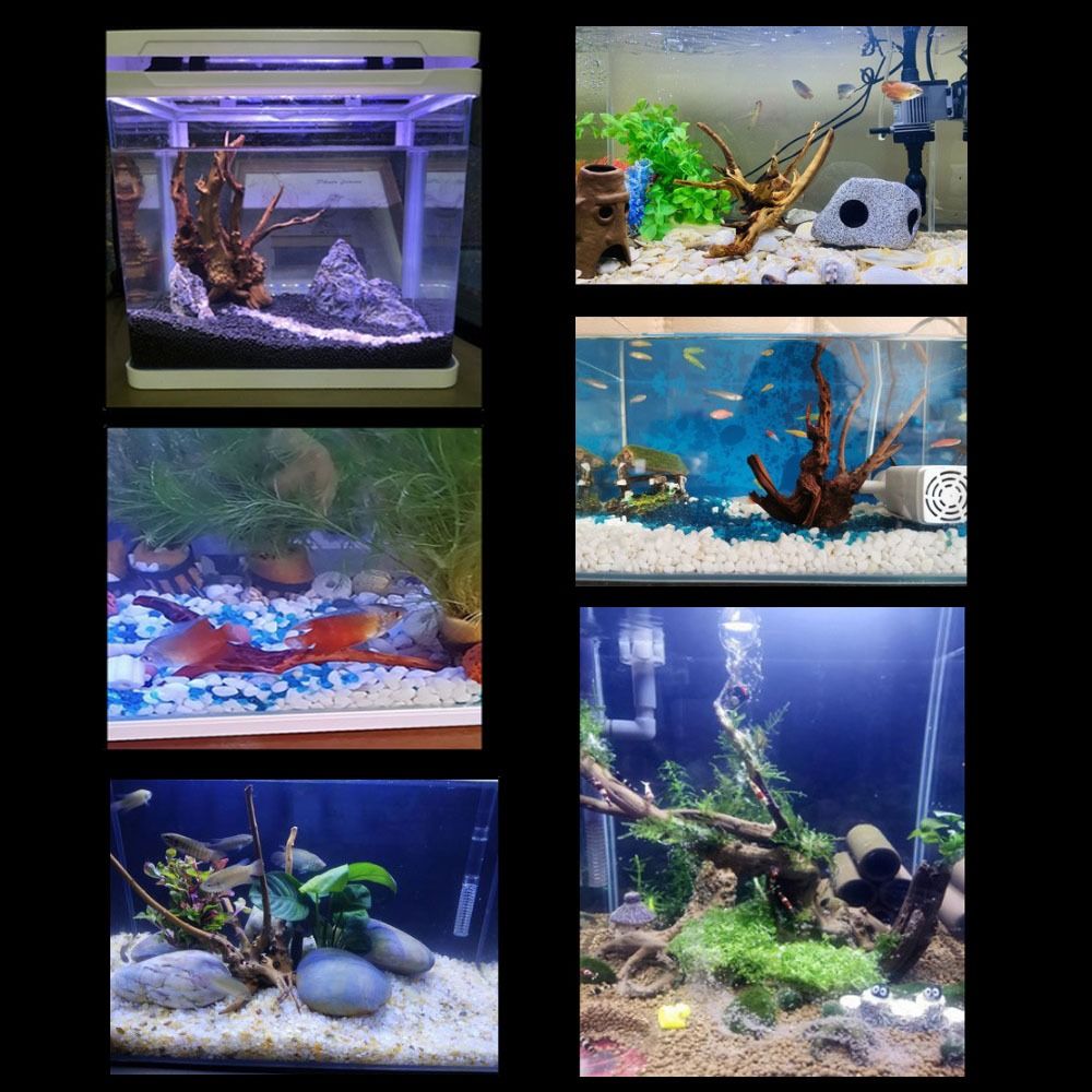 Natural Tree Trunk Aquarium De - Aquarium Plant Design ulasan dan harga