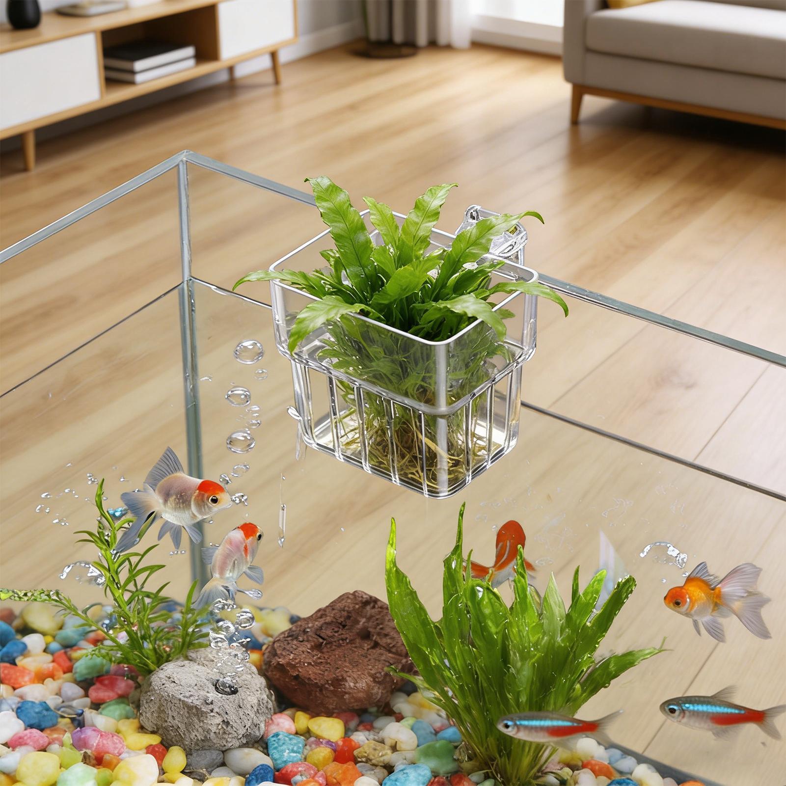 Transparent Hangable Aquarium  - Planted Aquarium Kit ulasan dan harga