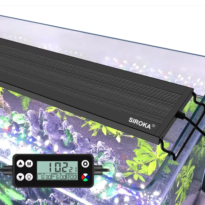 SIROKA SRK-YFT 90 cm Full Spec - Planted Aquarium With Fish ulasan dan harga