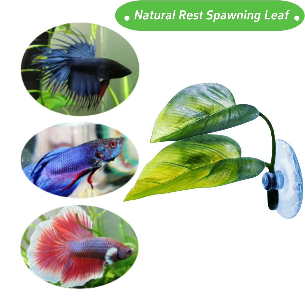 Pets Fish Tank Decor Betta Rel - Aquarium Plant Design ulasan dan harga