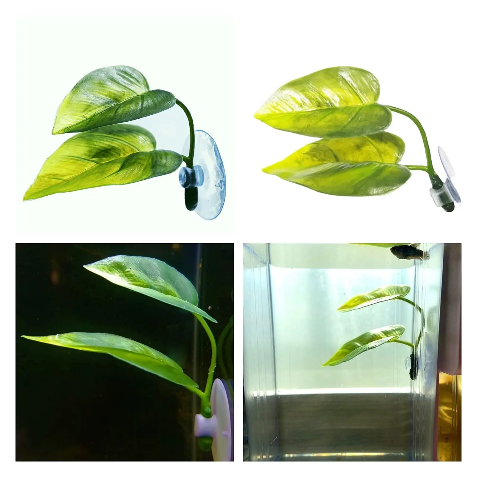 Pets Fish Tank Decor Betta Rel - Aquarium Plant Design ulasan dan harga