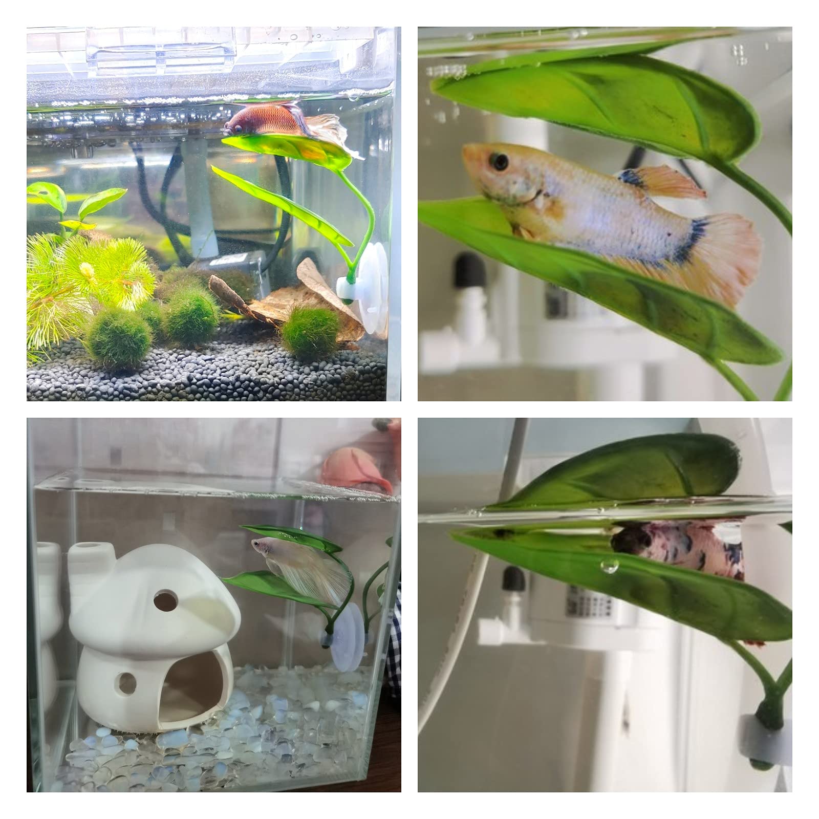Pets Fish Tank Decor Betta Rel - Aquarium Plant Design ulasan dan harga