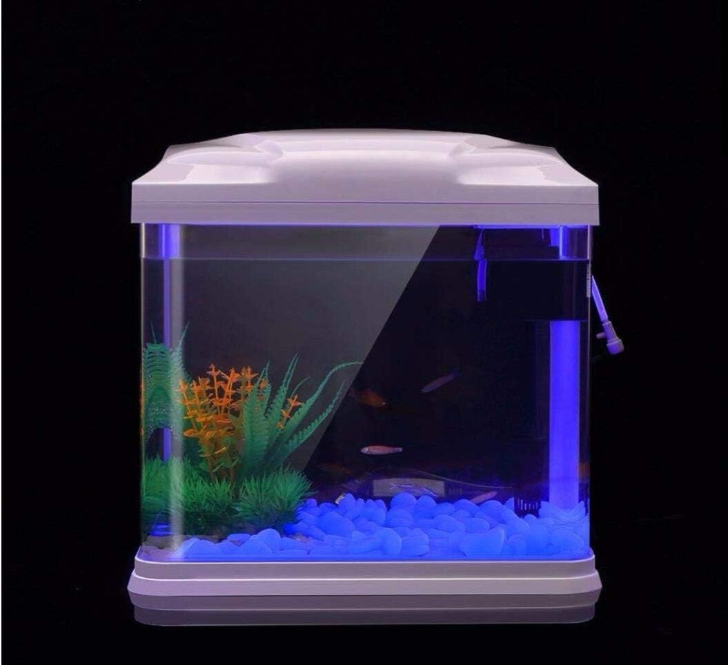 Fish Tank Rocks Glow Blue Pebb - Planted Aquarium With Fish ulasan dan harga