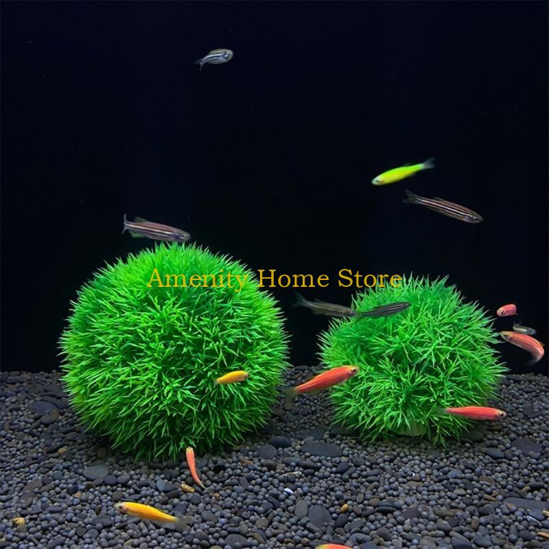 F26C Aquatic Plants Marimo for - Aquarium Plant Roots ulasan dan harga