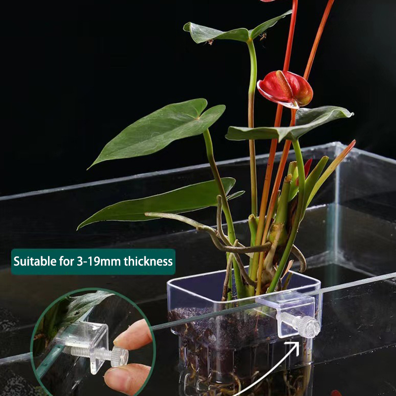 Multifunctional Fish Aquarium  - Planted Aquarium With Fish ulasan dan harga