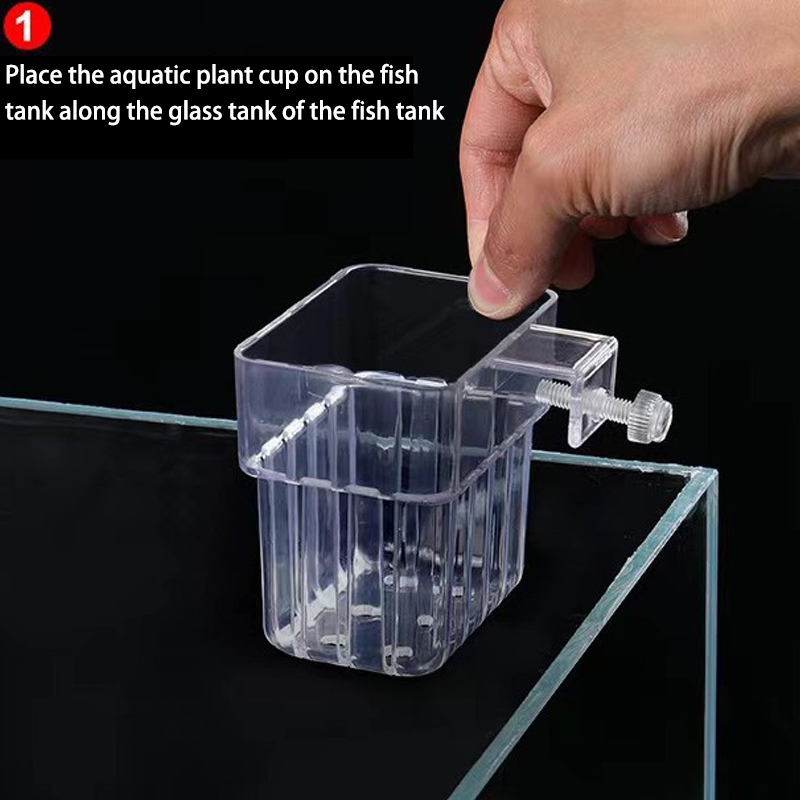 Multifunctional Fish Aquarium  - Planted Aquarium With Fish ulasan dan harga