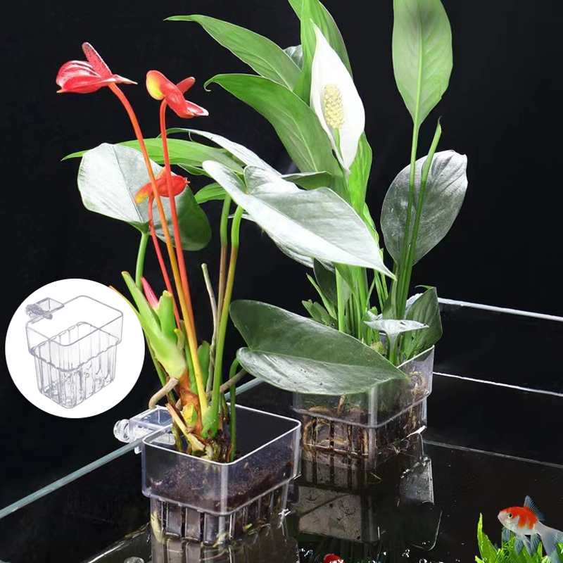 Multifunctional Fish Aquarium  - Planted Aquarium With Fish ulasan dan harga