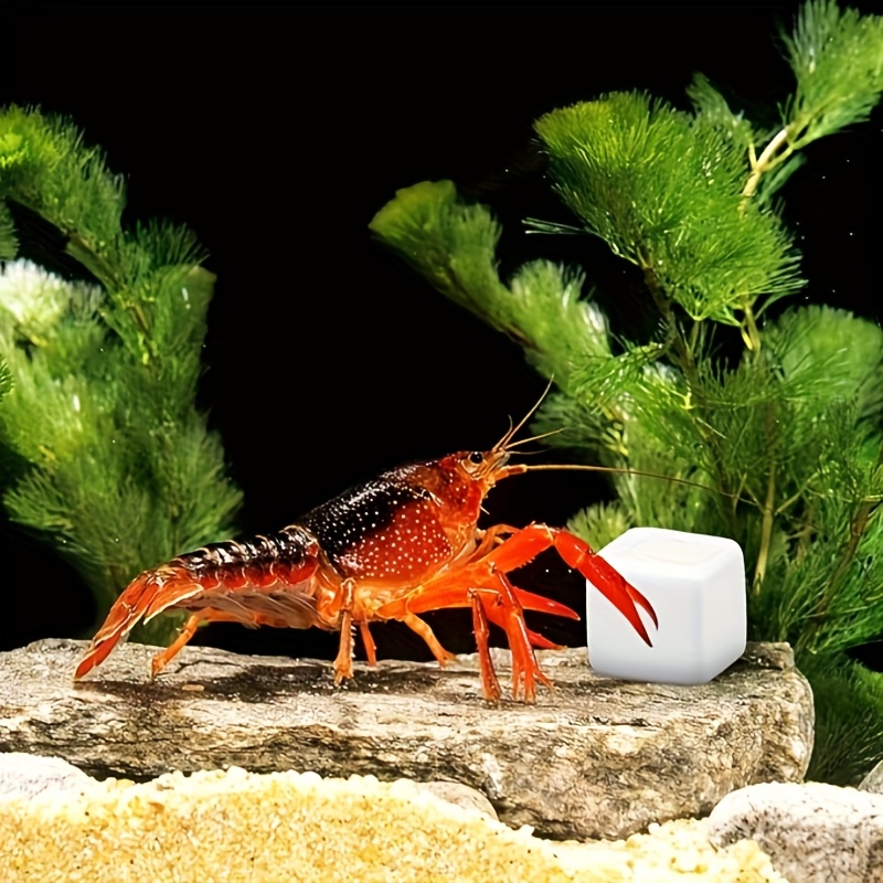 6 Pcs Fish Tank Calcium Block  - Aquarium Plant Roots ulasan dan harga