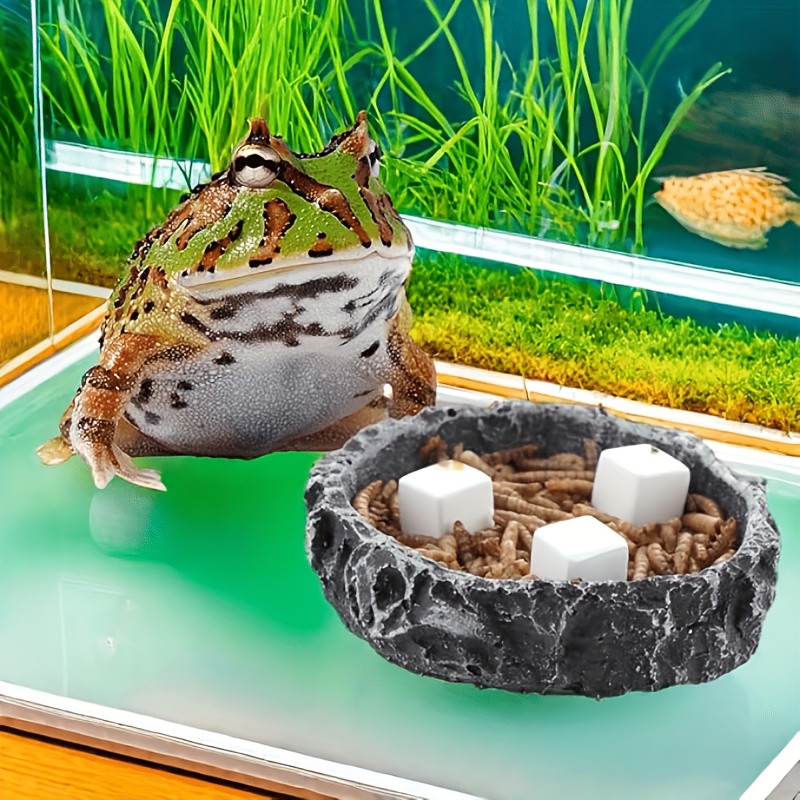6 Pcs Fish Tank Calcium Block  - Aquarium Plant Roots ulasan dan harga