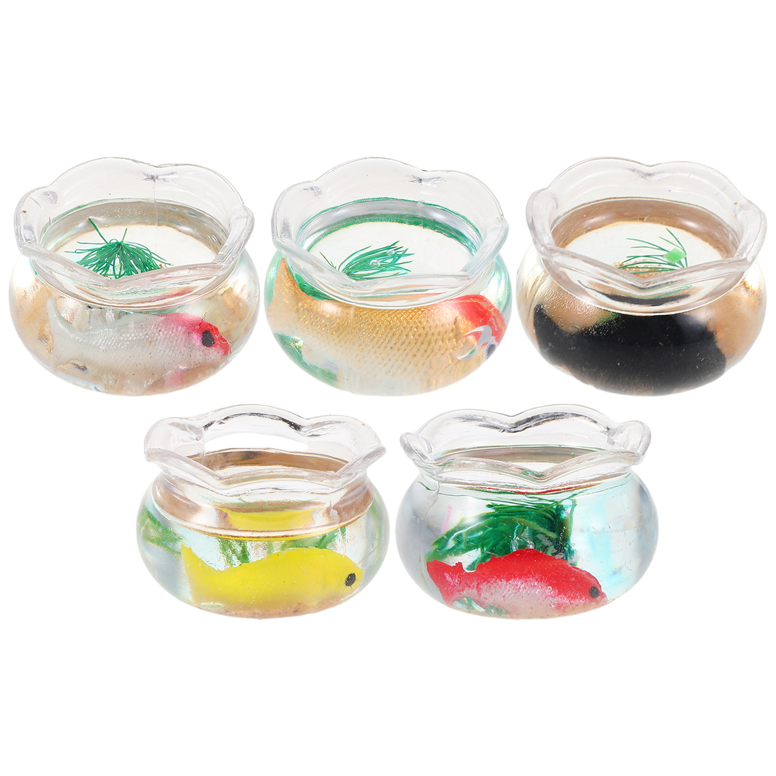 5Pcs Miniature Fish Bowl Small - Planted Aquarium With Fish ulasan dan harga